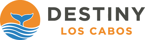 Destiny Logo